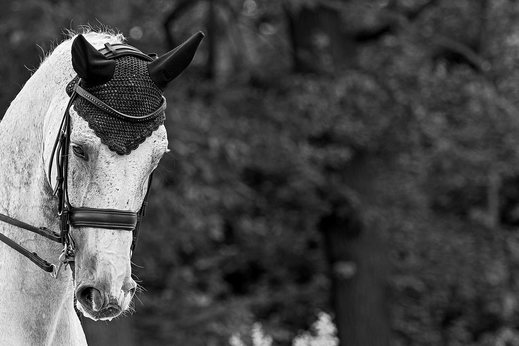 (09) Black and white.jpg