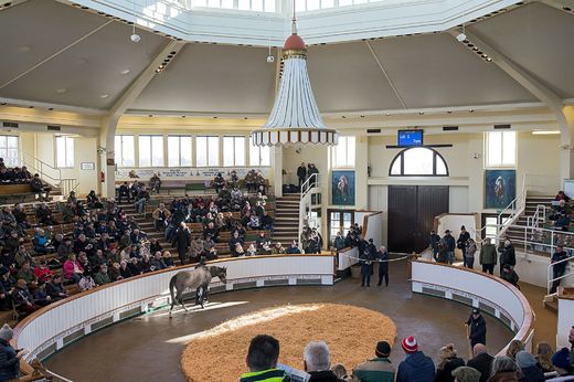 12 - Tattersalls - prodejní hala.jpg