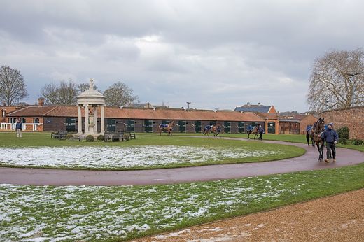 14 - Tattersalls - prodejní padock.jpg