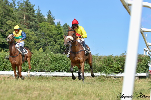 15 V pravo vítěz hlavního dostihu Tripolis (Odložil) v levo Swee