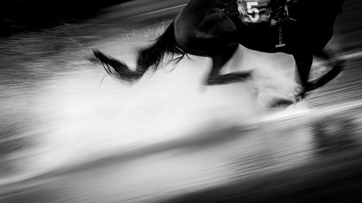 170813-166.jpg