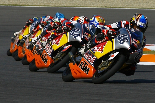 2009-Marek_Paulicek-Stado_rudych_byku.jpg