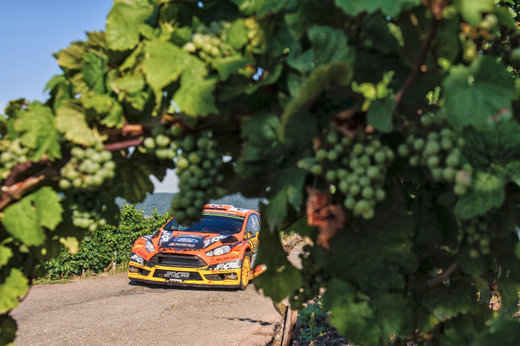 Prokop