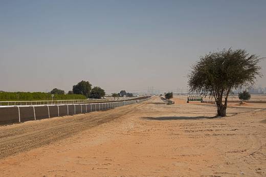 3 - Závodiště Jebel Ali.jpg
