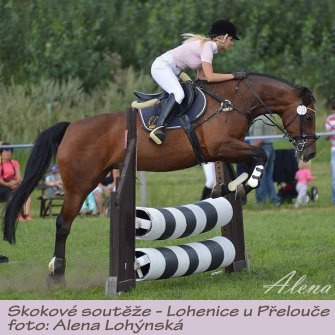 AL_Lohenice_skoky16.JPG