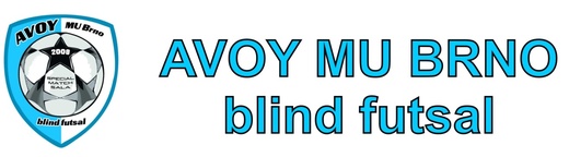 Avoy_blind_futsal(1).jpg