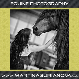 banner_martina_burianova.jpg