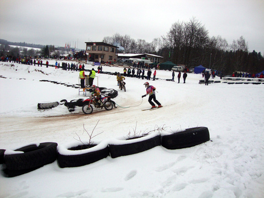 Dobřany