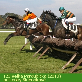 123.Velká Pardubická