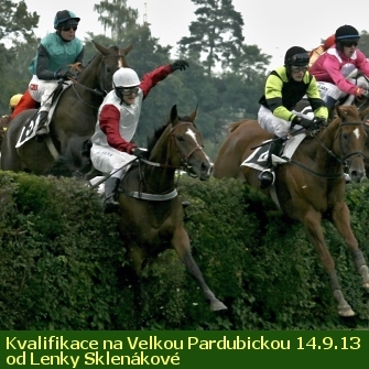 Dostihy Pardubice - kvalifikace na VP