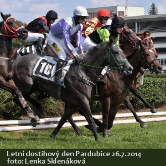 dostihy_Pardubice14-3.jpg