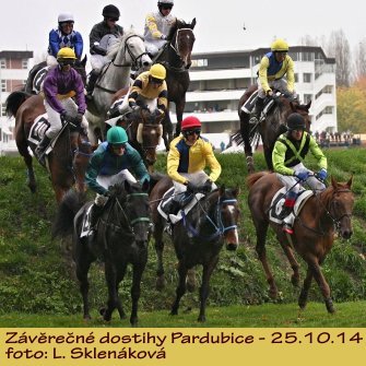 dostihy_Pardubice14-6.JPG