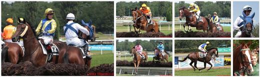 dostihy_Pardubice14a3.jpg