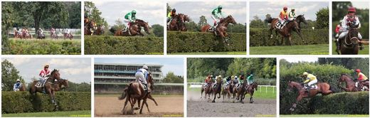 dostihy_Pardubice14a4.jpg