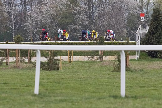 Dostihy v Brně - Dvorskách 05.jpg