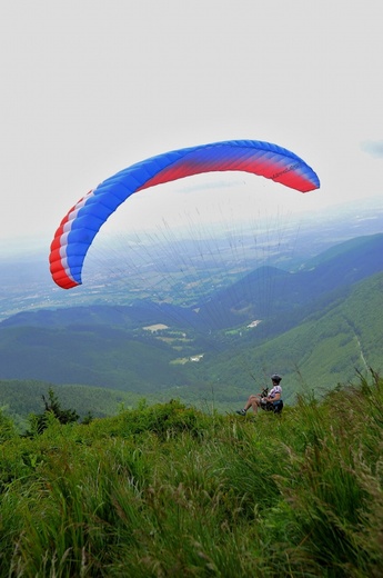 Adrenalin CUp