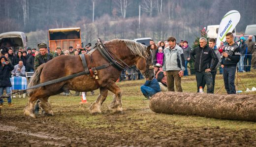 DSC08923-Edit.jpg