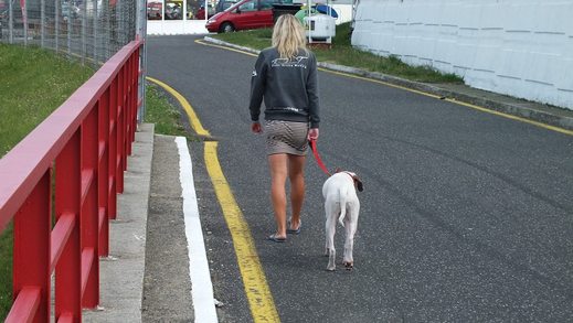 FIA_zone_CE_2013_584.jpg