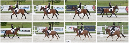 fitmin_Trophy14a1.jpg