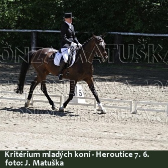 Heroutice