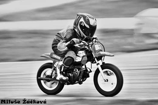 IMG_1581.jpg