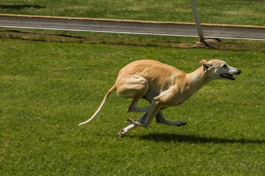 img00004.jpg