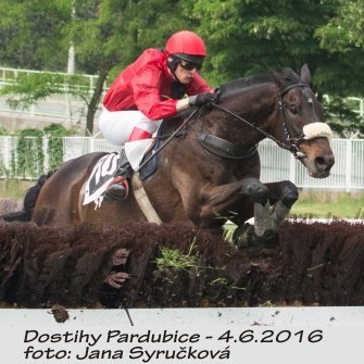 JS_dostihy16-2.JPG