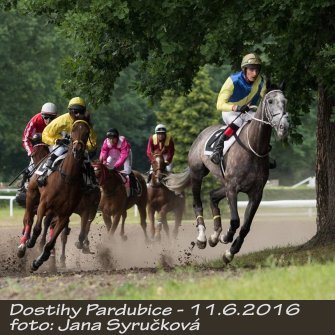 JS_dostihy16-4.JPG