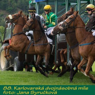 JS_dostihy16-5.JPG