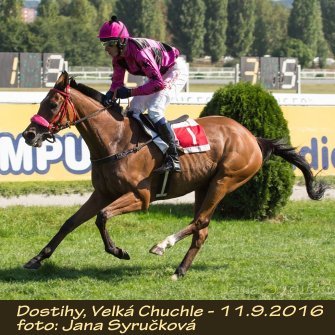 JS_dostihy16-7.JPG