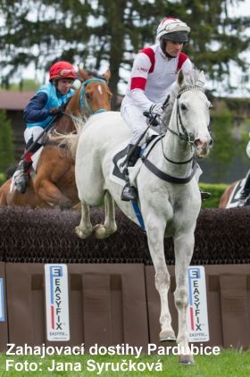 JS_Pardubice17-1.jpg
