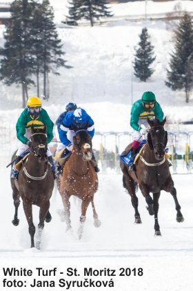 JS_WhiteTurf18.jpg