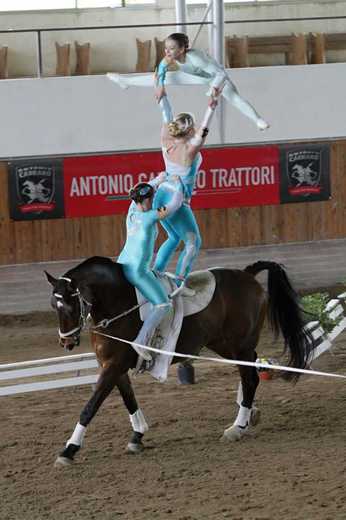 K1024_IMG_0018.JPG