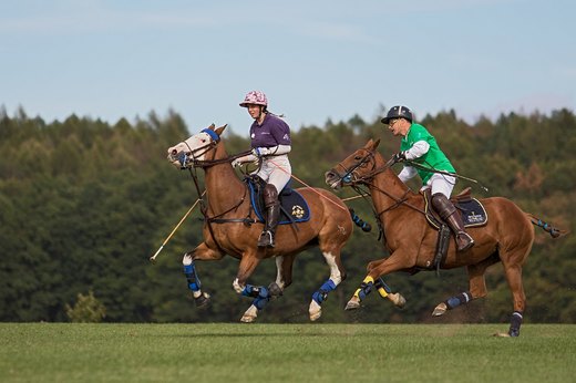 Koňské pólo je jeden ze sportů, kde spolu smějí hrát muži i ženy
