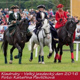 KP_Kladruby16.JPG