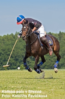 KP_polo.jpg