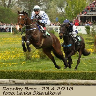 LS_dostihy_Brno16-1.jpg