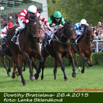 LS_dostihy15-1.jpg