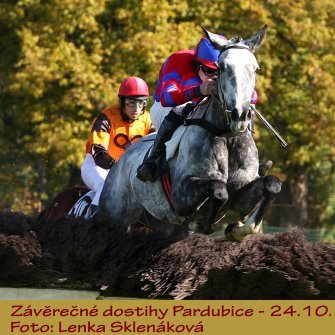 LS_dostihy15-10.jpg