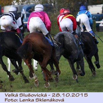 LS_dostihy15-11.jpg