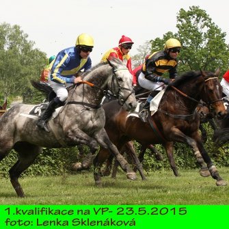 LS_dostihy15-3.jpg