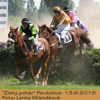 LS_dostihy15-4.jpg