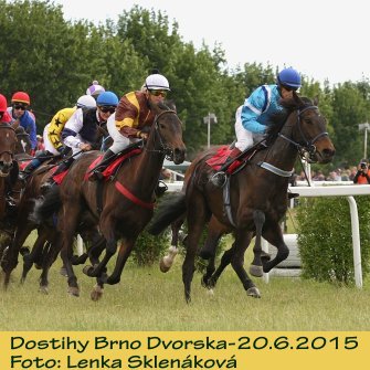 LS_dostihy15-5.jpg