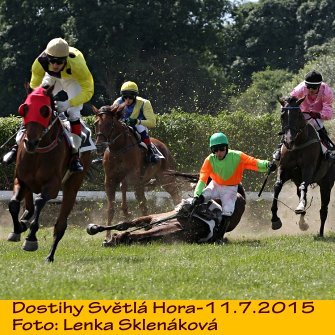 LS_dostihy15-6.jpg