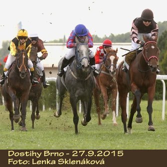 LS_dostihy15-9.jpg