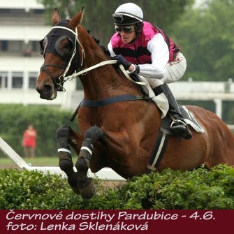 LS_dostihy16-3.jpg