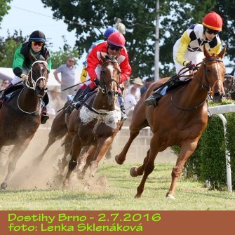LS_dostihy16-4.jpg