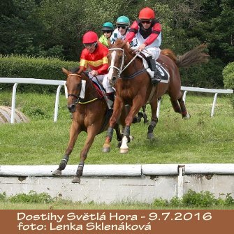 LS_dostihy16-5.jpg