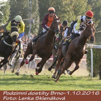 LS_dostihy16-7.jpg