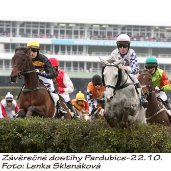 LS_dostihy16-8.jpg